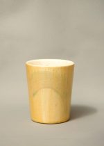 White-Yellow  Brush Filter