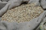 Nicaragua Del Rio Coco