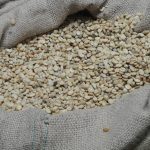 Nicaragua Del Rio Coco