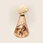 Forest - Görsel 2