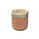 Peach Fuzz Asymmetric Filter