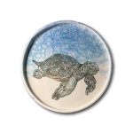 Turtle Plate
